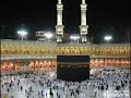 وديلي سلامي - بدون موسيقي
