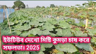 ইউটিউব দেখে মিষ্টি কুমড়া চাষ করে সফলতা 2024। মিষ্টি কুমড়া চাষ কিভাবে করবেন।