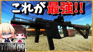 #201 黒Vector × RIP運用が最強すぎる!!【EFT】【タルコフ】【ゆっくり実況】