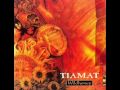 tiamat 02 whatever that hurts