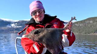 Fisketur i Nordfjorden Stryn Innvik 21.03.20 , (4K) May Liza Johansen, Kato Andre Bøe