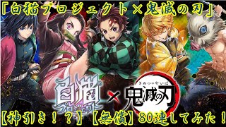 【白猫プロジェクト×鬼滅の刃】神引き！？キャラガチャ80連してみた！