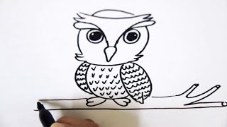 How To Draw an Owl on a Branch Step by Step Easy For Kids