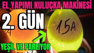 El Yapımı Kuluçka Makinesi 2025 🐣 | 2. Gün: Yumurta Çevirme \u0026 Doluluk Kontrolü | Neon Yeşil Yumurta