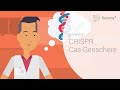 CRISPR / Cas-Genschere: Gentechnik? • Erklärfilm