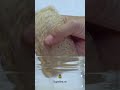 Natural loofah sponge to replace toxic plastic sponges