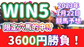 【競馬】WIN5予想/今週の動画内限定穴馬は東海Sから⁉️