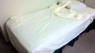 Honeymoon Twin Size 3PC bed sheet set