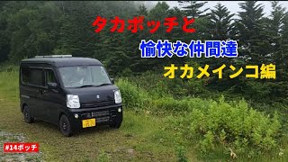 オカメインコと天の川リベンジ車中泊？