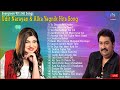Kumar Sanu Best Of 90’S Love Hindi Melody Songs Udit Narayan & Alka Yagnik #90severgreen #bollywood