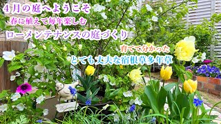 【育てて分かった＊丈夫で育てやすいおすすめ宿根草&多年草】【日向＊半日陰向き】【４月の庭便り】ガーデニング/ローメンテナンスの庭づくり