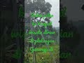 Wisata Durian Di Plalangan Gunungpati Semarang