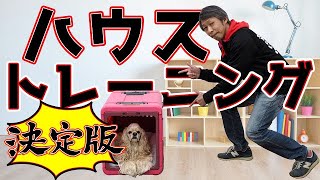 【犬 しつけ】決定版 クレートトレーニング（ハウストレーニング）