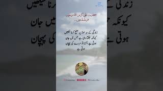 Golden Words in Urdu | Hazrat Ali Quotes | New Islamic Quotes 2024 | #islamicstatus #newquotes