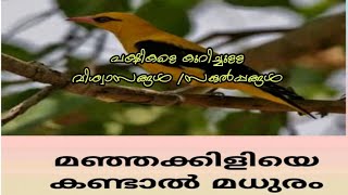 പക്ഷികളെ കുറിച്ചുള്ള സങ്കൽപ്പങ്ങൾ /വിശ്വാസങ്ങൾ #pakshikal# pakshichollukal# പക്ഷിചൊല്ലുകൾ # STD 3#