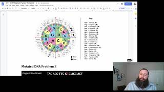 Types of Mutations Worksheet