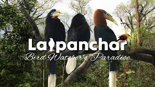 Documentary on Latpanchar || Birds of Latpanchar || Offbeat Destination in North Bengal || Forest