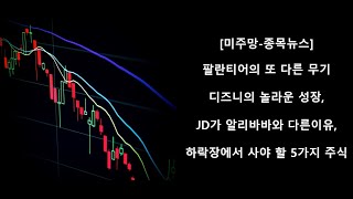 [미주망-종목뉴스] 팔란티어의 또 다른 무기, 디즈니의 놀라운 성장, JD가 알리바바와 다른 이유, 하락장에서 사지 않은 것을 후회하게 될 5가지 놀라운 성장 주식 소개