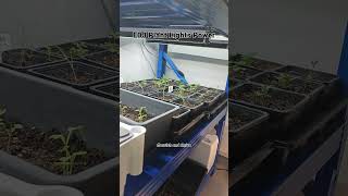 Revolutionizing Indoor Gardening: Inside Our Latest Innovations!