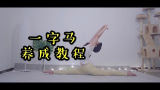 一字马养成 | 安全进阶 | 温和开髋