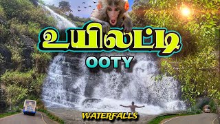 Uyilatti Waterfalls மட்டும் Miss பண்ணாதீங்க ஊட்டி வந்தா 😱| கோத்தகிரி மலை | #travel #trending #tamil