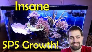 😀 Insane SPS Growth. A look back.