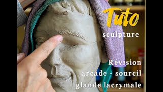 Révision : sculpter l'arcade, le sourcil, la glande lacrymale