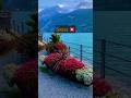 |Swiss-4k 🇨🇭|#shorts #switzerland #viral #ytshorts