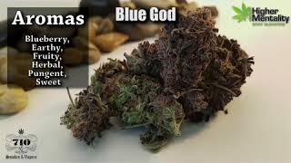 Cannabis Strain of the Week: Blue God