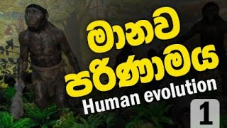 Human Evolution part 1(මානව පරිණාමය 1) - Sinhala