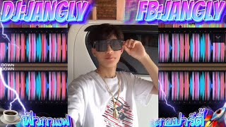 สายปาร์ตี้🚀🔥#dj Jangly#จัดไปสายปาร์ตี้🚀#เพลงฮิตในtiktok🪐#ฟิวกาแฟ☕️#🌵🍁