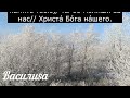 11 декабря Сойкин День. Что нельзя делать 11 декабря. Народные Приметы и Традиции Дня.