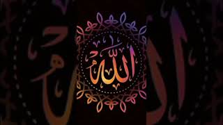 সুন্দর সুন্দর আল্লাহু 🥰❤️ সবাই দেখুন 🤗🤎 ইসলামিক ভিডিও 🤗 #vairal_video #islamicvideo