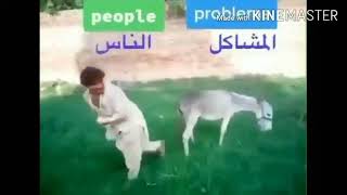 افضل فيديو مضحك عن الحيوانات 😂 تحدي الضحك اضحك من داخل قلبك 😅 #مضحكحيوانات مضحكه احمد ملك الكوميديا