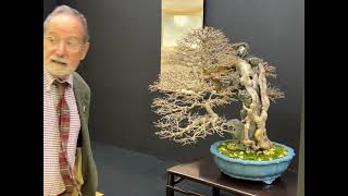 【４ＫBonsai】 42nd NIPPON BONSAI TAIKAN GRAND EXHIBITION 第42回 日本盆栽大観展  Part7-special English guidance