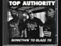 Top Authority. Voices