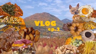 VLOG ep.2 맛있는거 먹는게 젤 행복하지..! 먹는게 일상인 행복돼지 꿀꿀🐷| 돼지국밥 호떡 양산국화축제 던킨도넛 빵해장 무생채비빔밥 반올림피자샵 족발 자담치킨 중국집