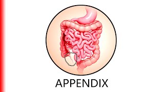 APPENDIX.