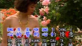 鑽石金曲 - 玫瑰玫瑰我愛你 KTV