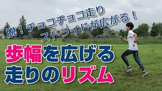 【ランニング教室】歩幅を広げる『リズム走り』