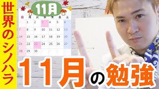 合格年間スケジュール：１１月の勉強～二次対策できるラスト1か月！【篠原好】