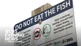 Fish contaminated with "forever chemicals" found in nearly every state