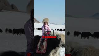Top 10 Coldest Countries In The World #trendingtopics #trending #viralshorts2022 #cute #comedy