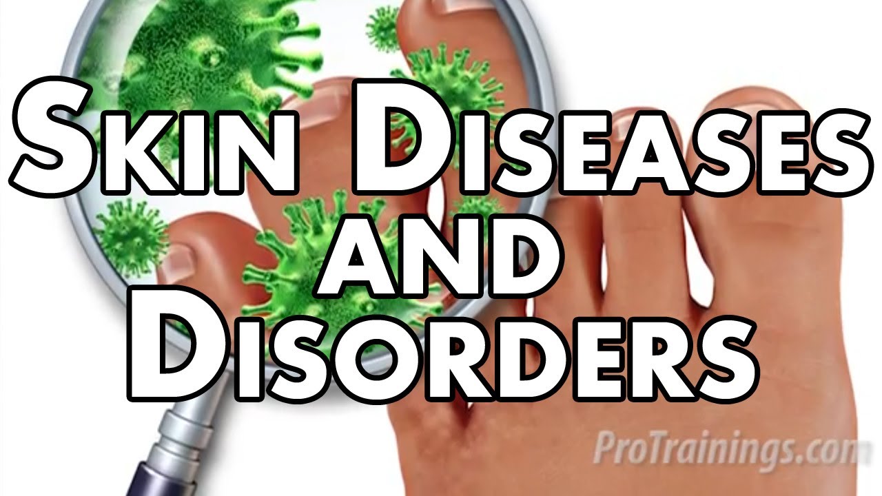 Skin Diseases And Disorders - YouTube