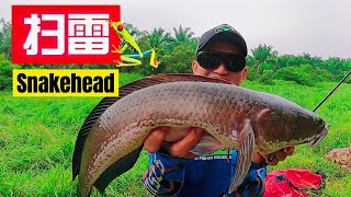 (EP61)扫雷行动，就是要雷到你! Malaysia Fishing, Haruan, Snakehead