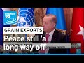 UN-led deal to ensure safe export of Ukraine's grain, peace still 'a long way off' • FRANCE 24