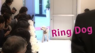 結婚式サプライズ【リングドッグ】