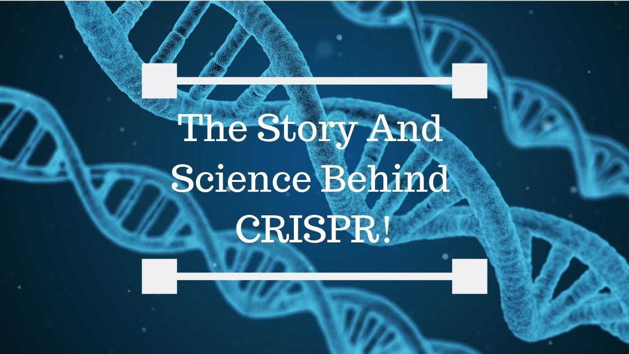 The Story Behind CRISPR And How CRISPR Works--AUDIO-- - YouTube