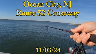 Ocean City - Rt. 52 Causeway - Fishing