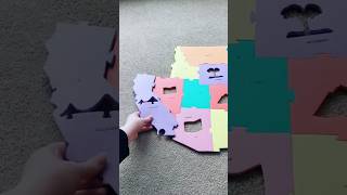 Giant US Map Puzzle